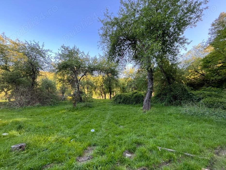 Vand livada cu meri fructiferi - Căsoaia - Araneag - Arad