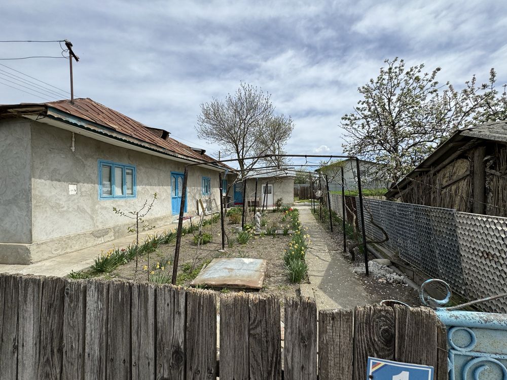 Casa cu teren 300m - Nufaru
