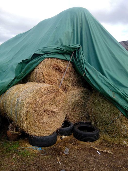 Vand baloti de lucerna
