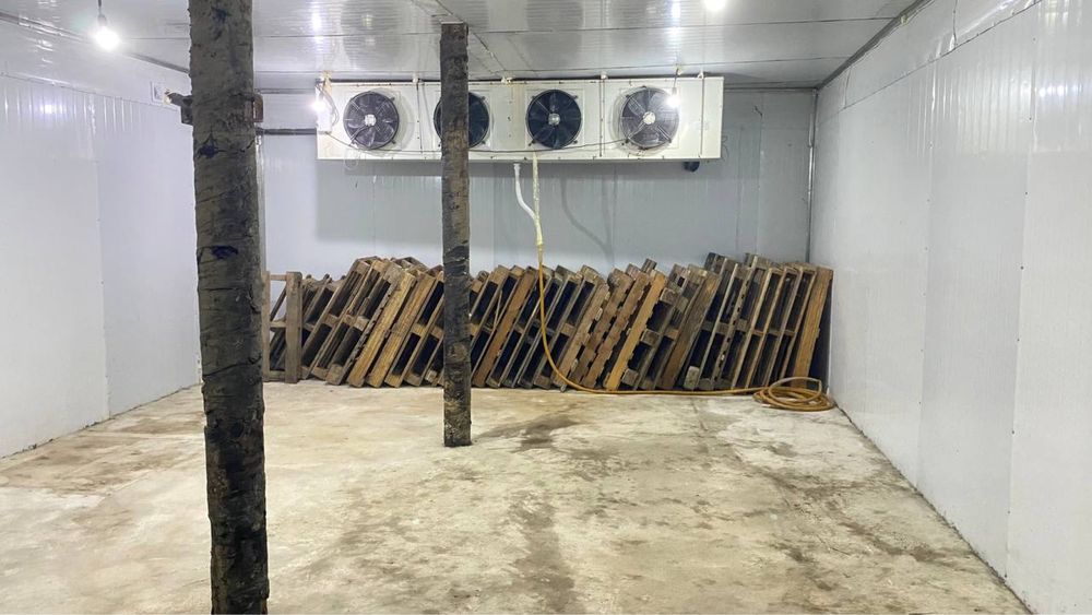 Xolodilnik konteyner arenda. Аренда холодильников в аренду.