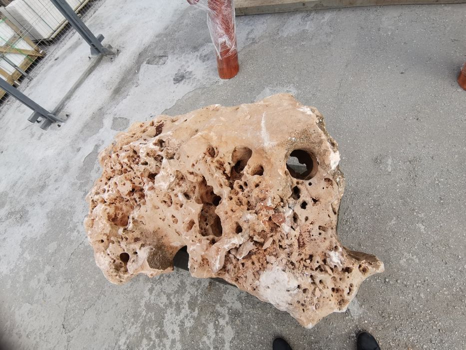 Bolovani ornamentali