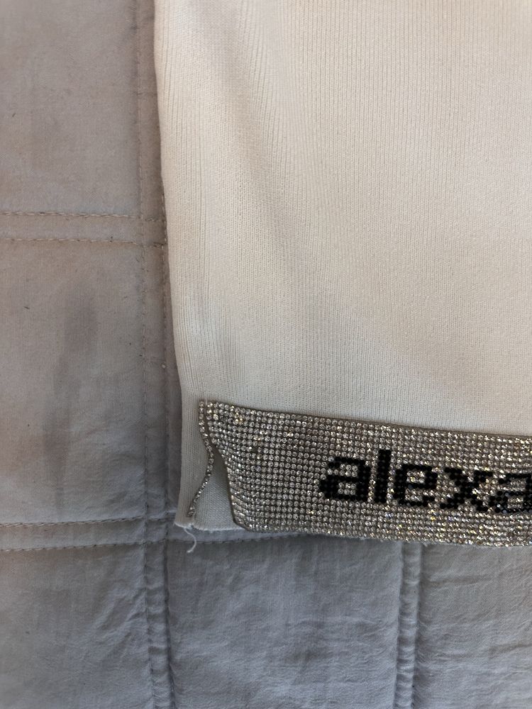 Потник Alexander Wang