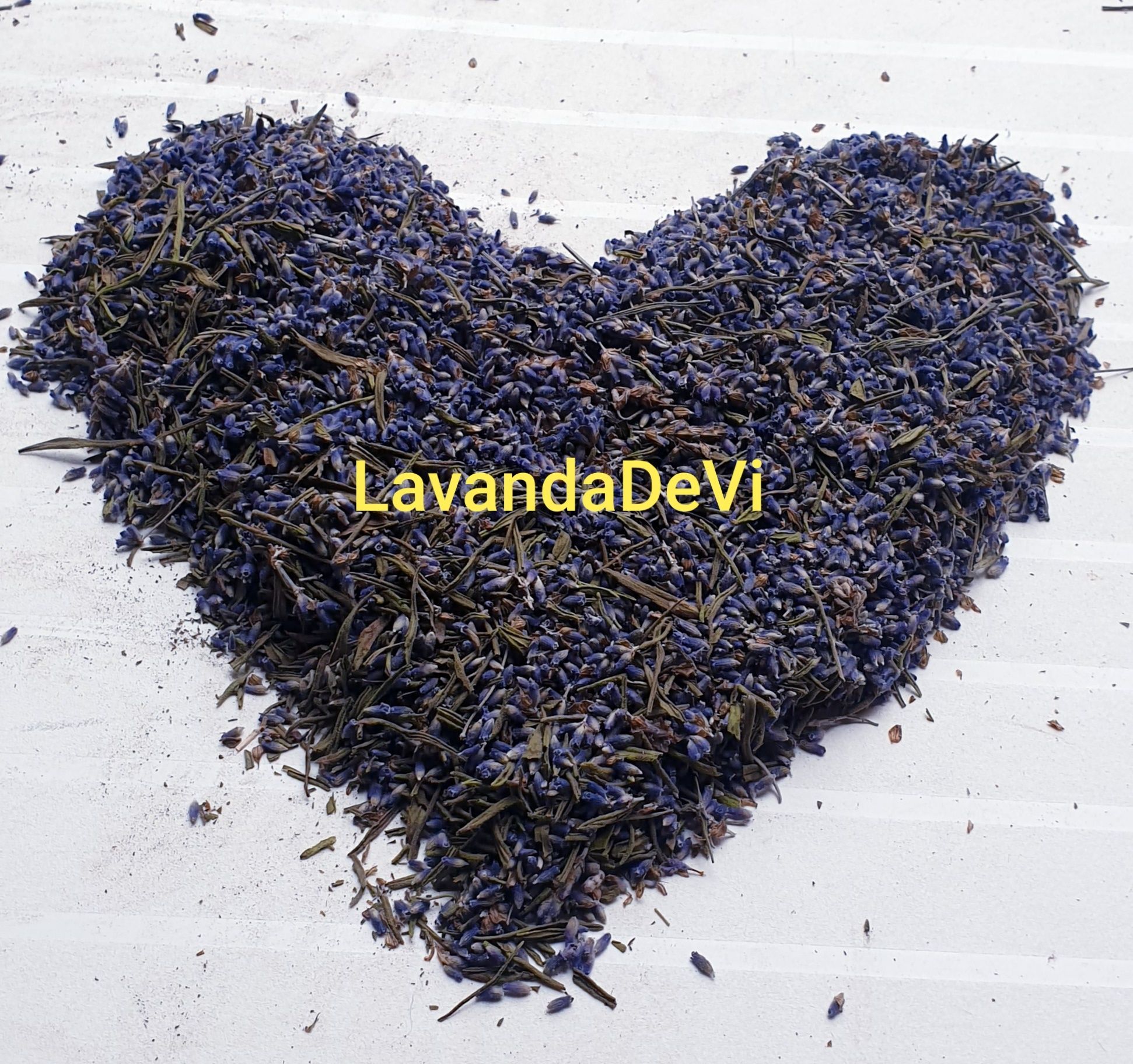 Lavanda scuturata