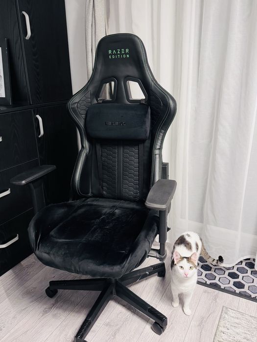 Scaun gaming Razer Edition green