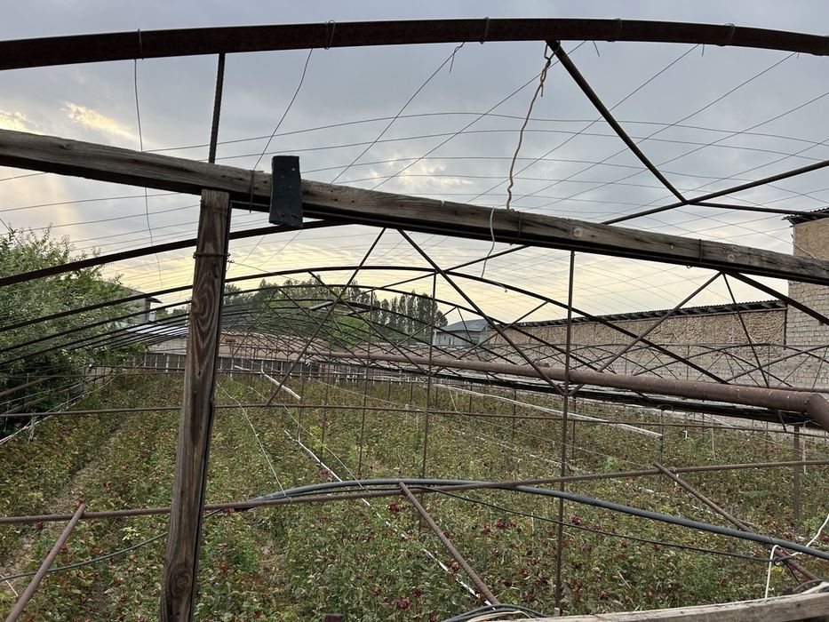 Yer sotiladi 12 sotix