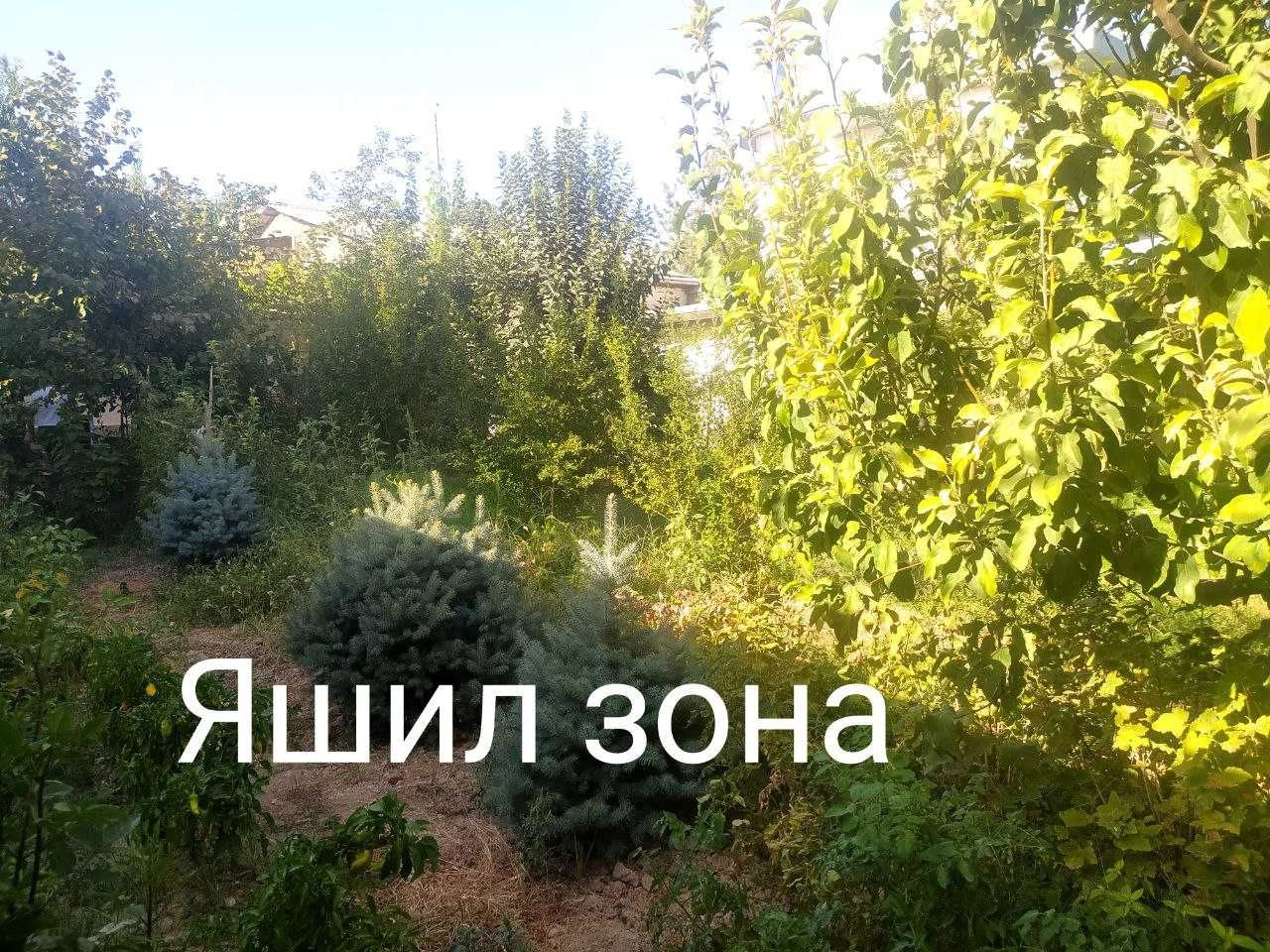 БУЗ СУВ ДАРЕСИ  БУЙИДА  10 сотикли 7 хона Ховли сотилади Кибрай рн