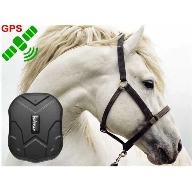 GPS Для лошадей и животных/Жылкыга ЖПС до 100дней есть приложение