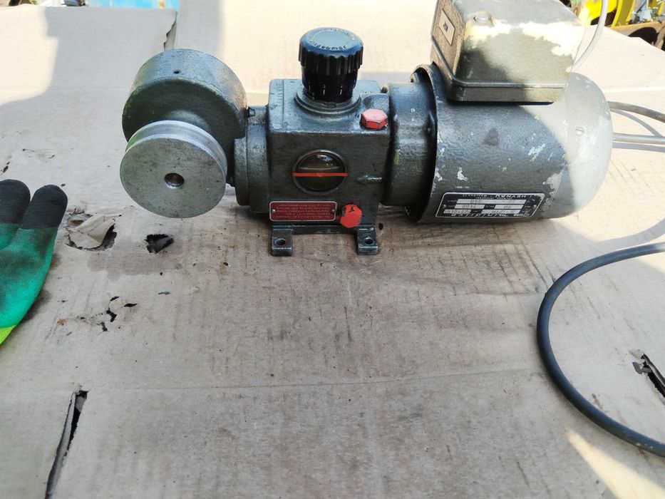 Motor electric cu reductor cazan prune gradina