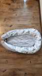 Baby nest in the băiat