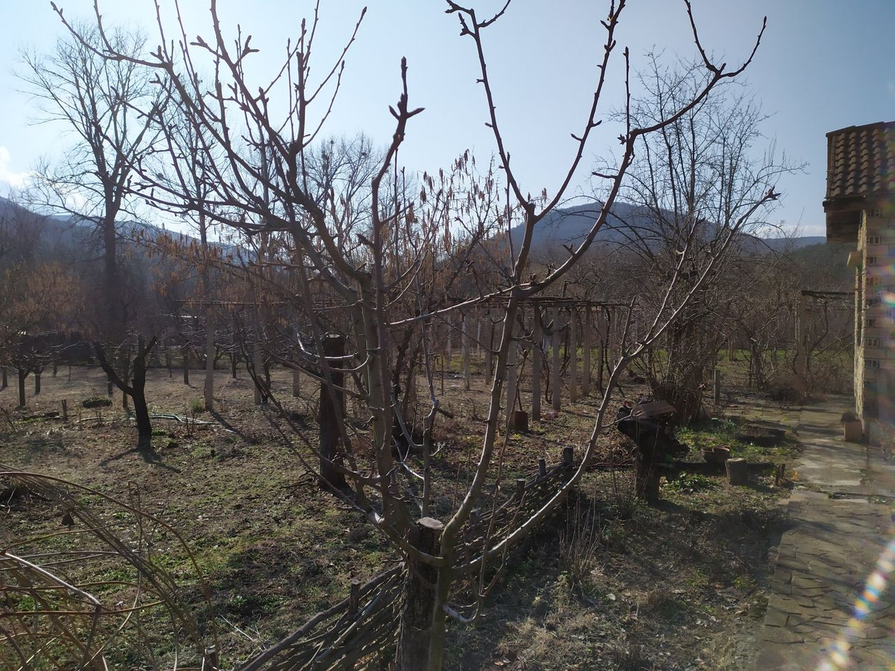 Продава се Къща в Търговище, Вилна зона - 40 кв.м за 829 €/кв.м - Снимка #3
