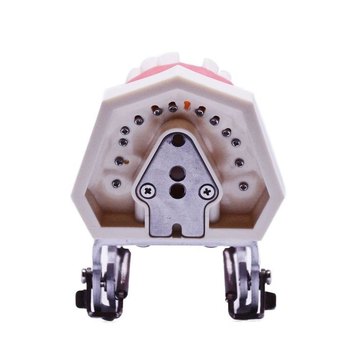 Model studiu stomatologie sau tehnica dentara