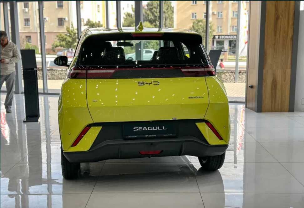 BYD Seagull 2025 eng foydali taklif Kredit yiliga 22%