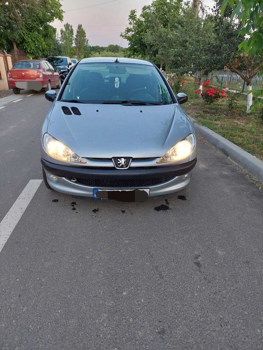 Vand Peugeot 206