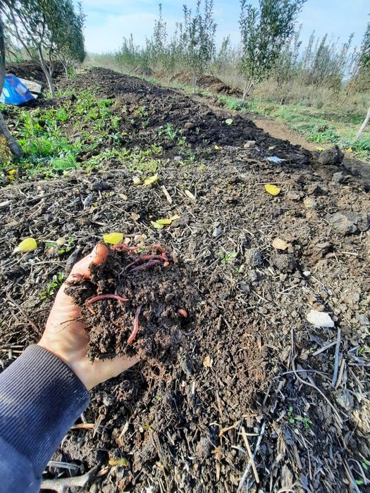 Биогумус сатылады