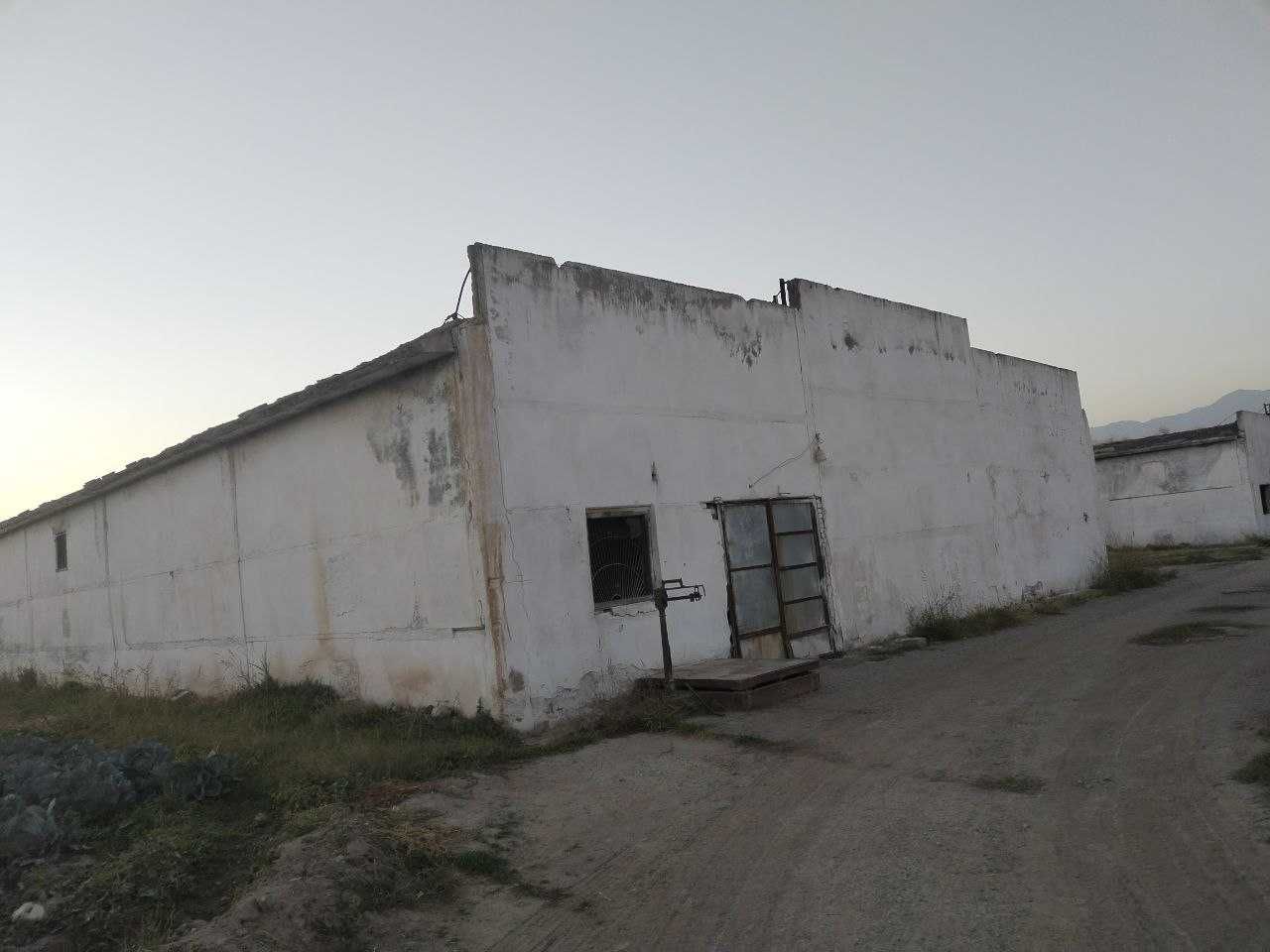 Sariosiyoda omborxona binosi bolib tolash sharti asosida sotiladi