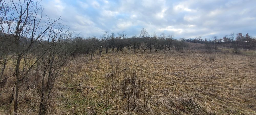 Teren extravilan,5600 mp ,iesire sat, livada, zona superba