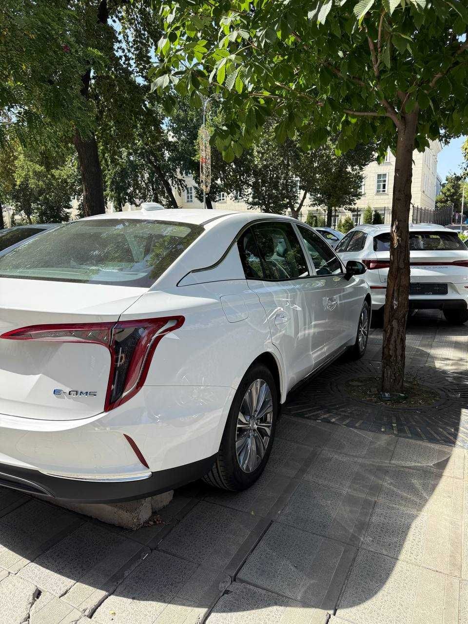 hongqi eqm-5 500km full 2025
