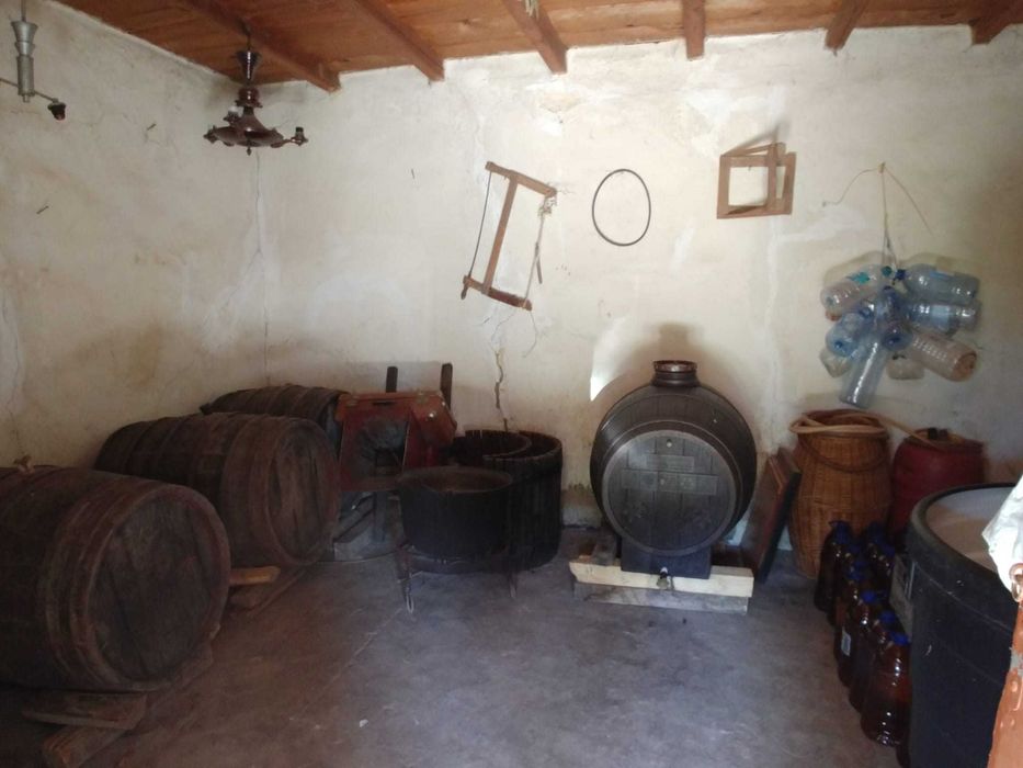 Casa de vanzare la tara, comuna Obrejita/Vrancea