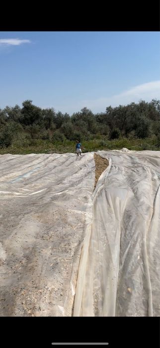 Продам силос 40 тенге за килограмм