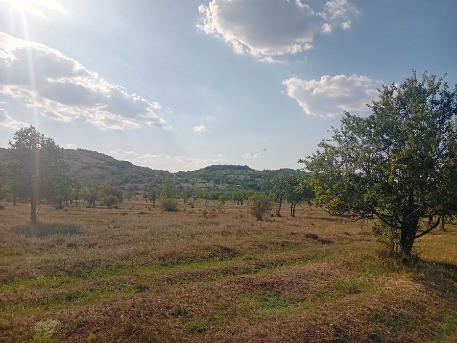 15000 mp extravilan
