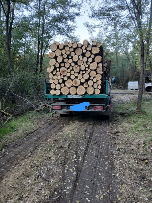 Lemn pentru foc salcam