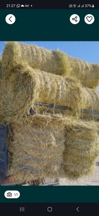 Продаем сено свежии рулон большой