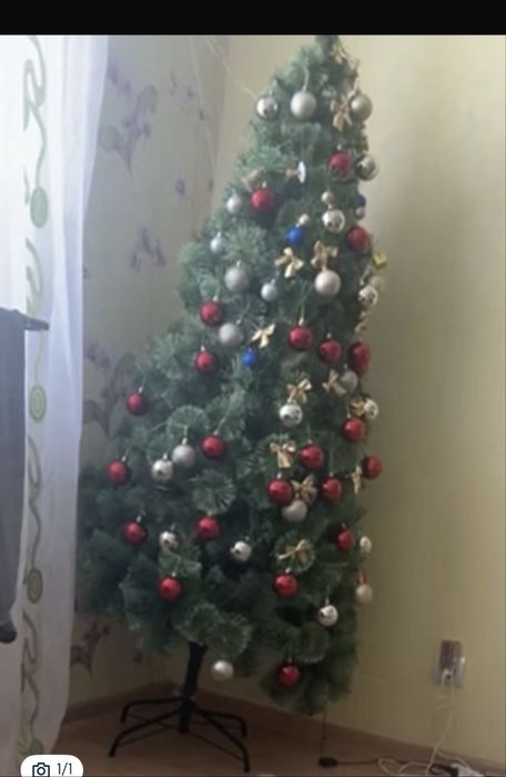 Продам елку 5000