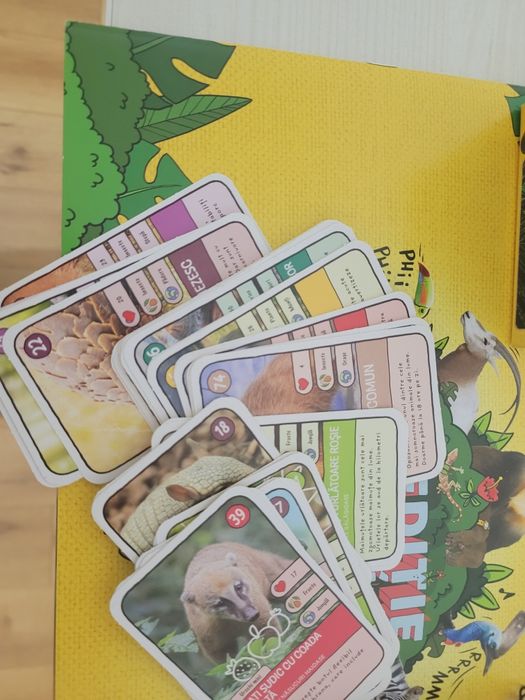 Album complet mega image expediție în jurul lumii 2 anul 2025