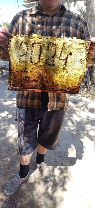 Продам свежий мед майский