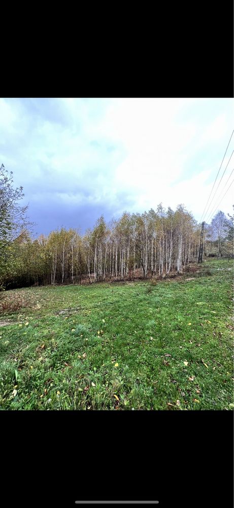 Vand teren la munte intravilan comuna Bulz sat Munteni cabana