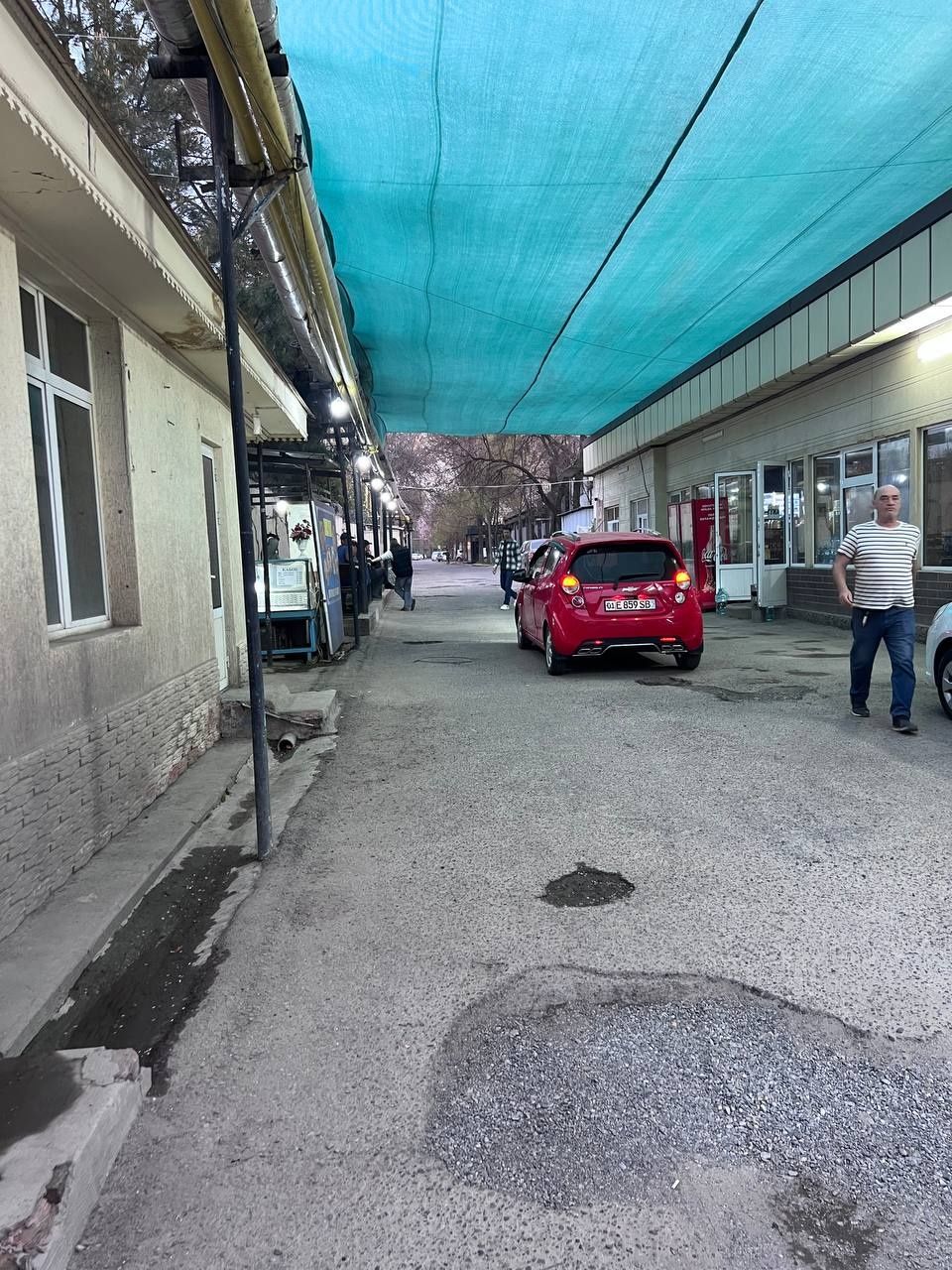 mikroklimat setka