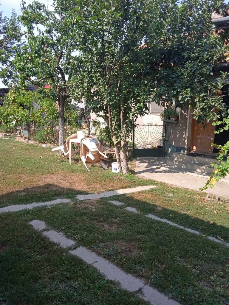 Casa de vânzare Boiu Bihor