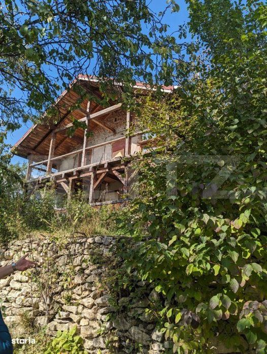 Casa 3 camere si teren 4873 mp  in Pietroasa, Moldoveneşti