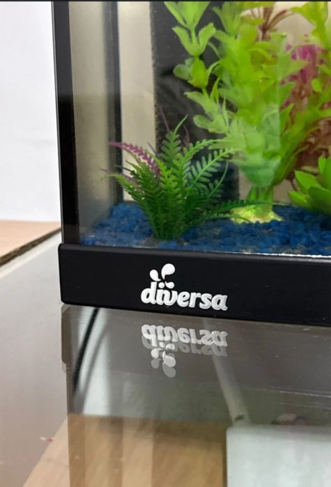 Acvariu Diversa.