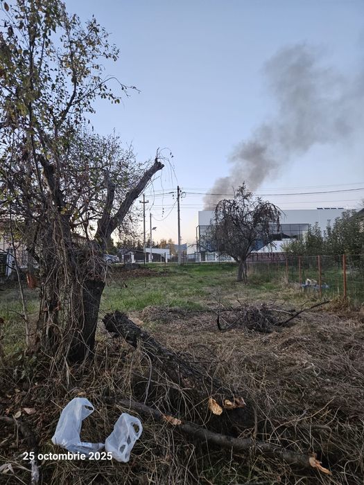 Lemne de vânzare uscate, Domnesti, Arges. Cred ca sunt cam o căruță.