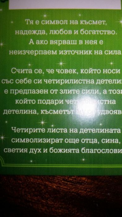 Четирилистна детелинка естествена ламинирана за Късмет
