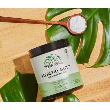 Terra Origin Heathy Gut Vegan Formula (Original)