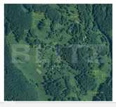 Teren partial intravilan 7 ha in Muntii Apuseni com. Sohodol