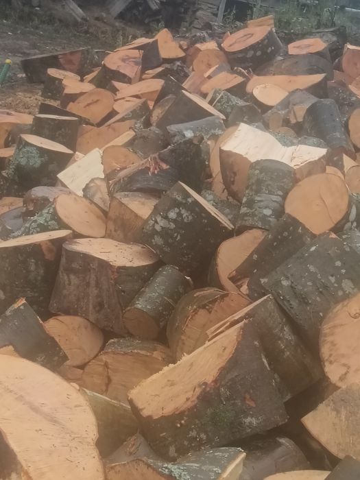 Lemne foc fag. De vânzare