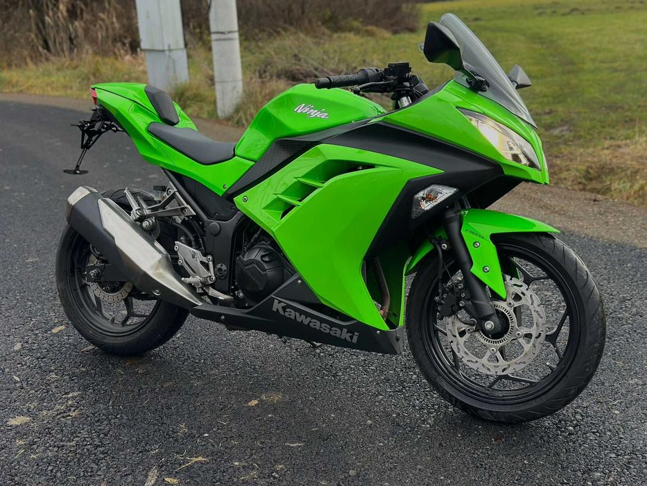 Kawasaki Ninja 300 2016 A2