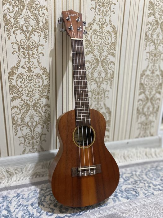 укулеле Сanwood CU-23K NS