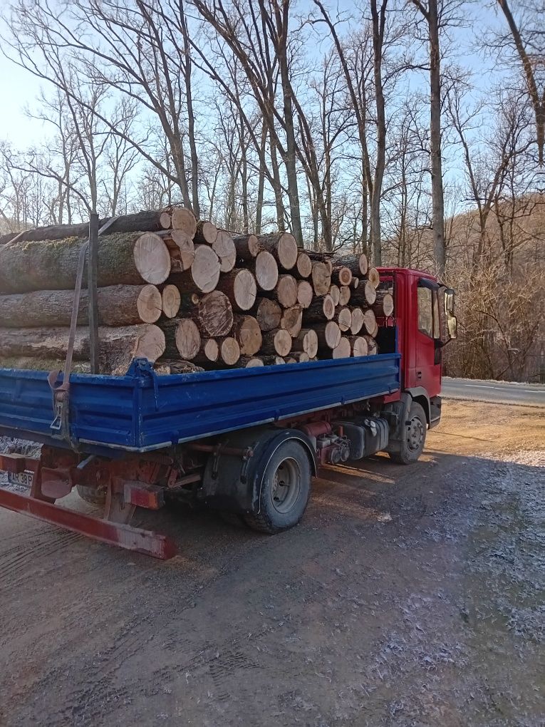 Ducem la.comanda Lemne de foc de esența tare.cer.carpan.garnita .salca