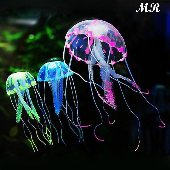 Медуза для аквариума