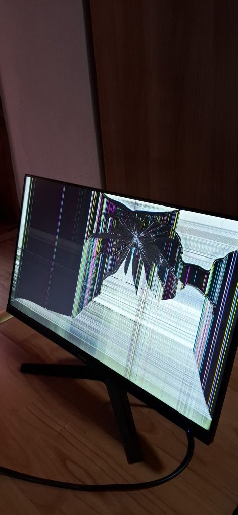 Monitor iiyama 100hz fullHD (defect)