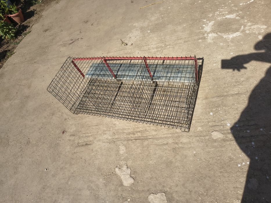 Vând cuibar păsări, găini, cu 3 locuri și colector