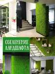 Самшитовый коврик Искусственная трава на стене - Фито стена 60х40см