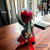 Trandafir rosu criogenat