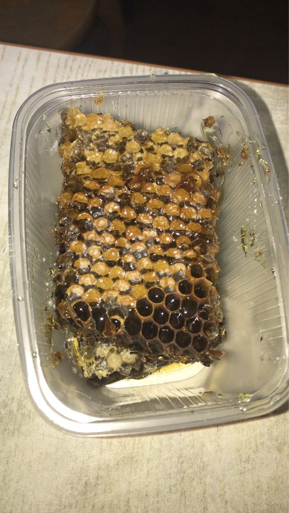 Продам мед бал honey натуральный!