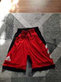 Adidas pantaloni scurti pro bounce