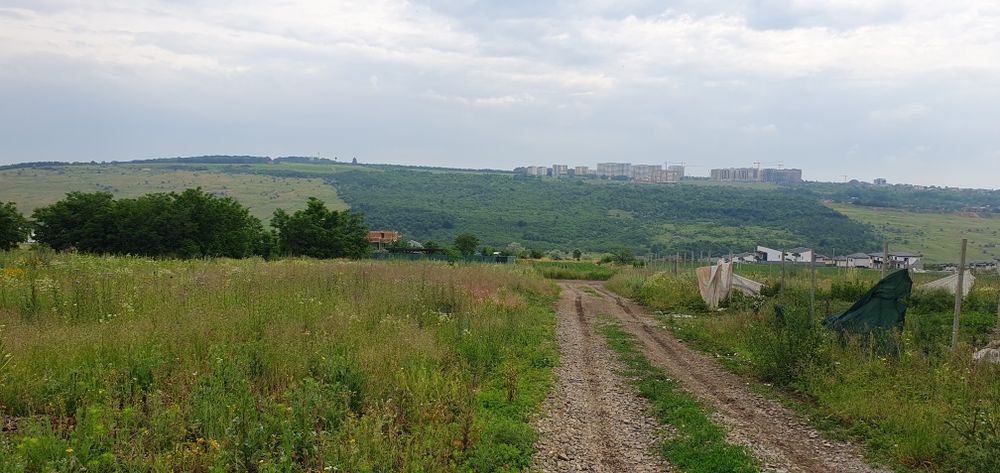 Teren intravilan Rediu